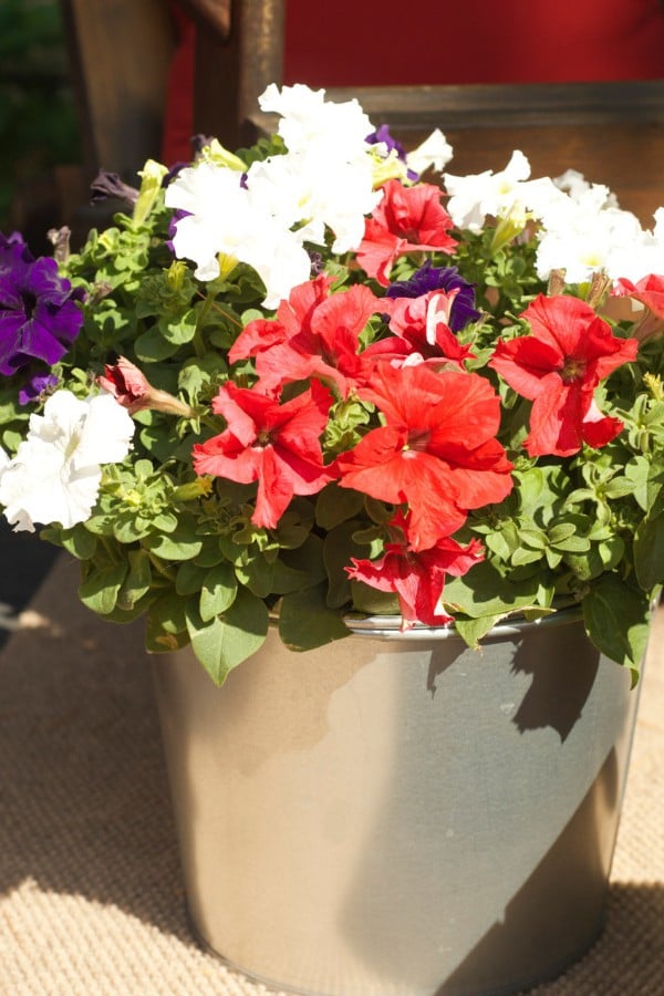 Fourth of July Backyard Garden Getaway Space