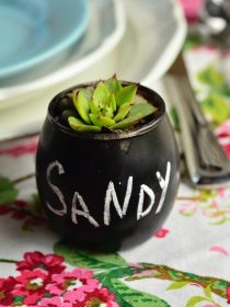 Succulent Place Card Settings