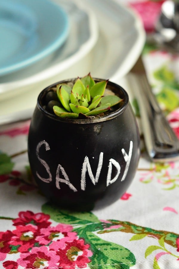 Succulent Place Card Settings