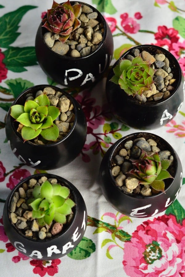 Succulent Place Card Settings