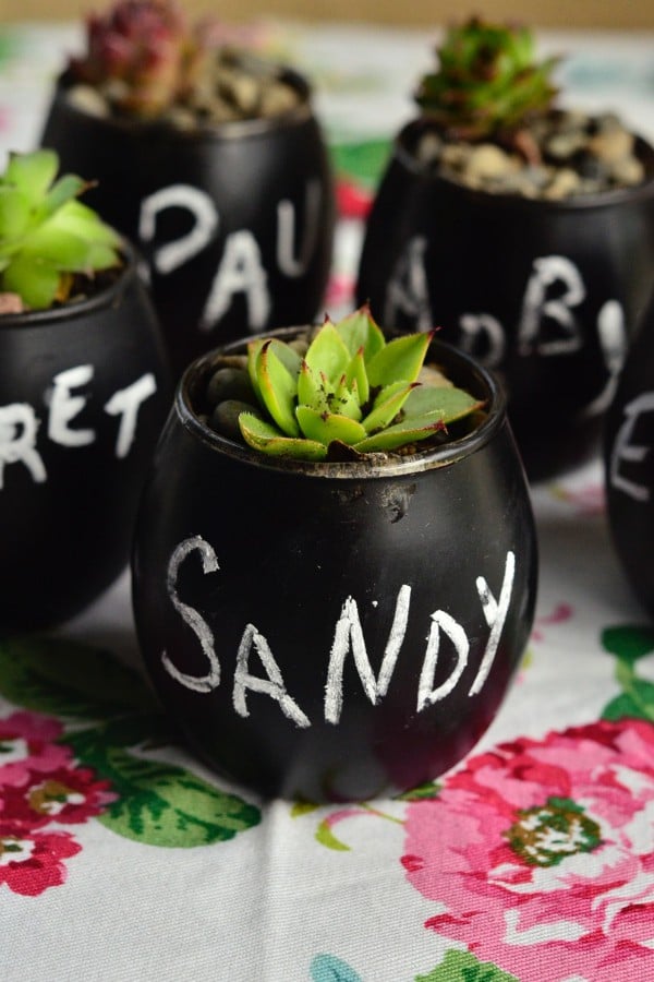 Succulent Place Card Settings