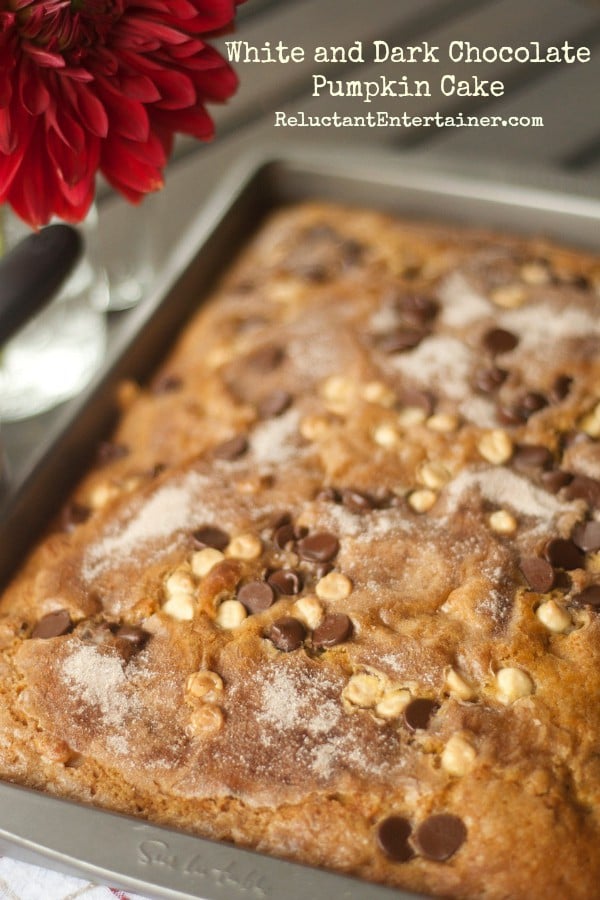 white and dark chocolate pumpkin cake