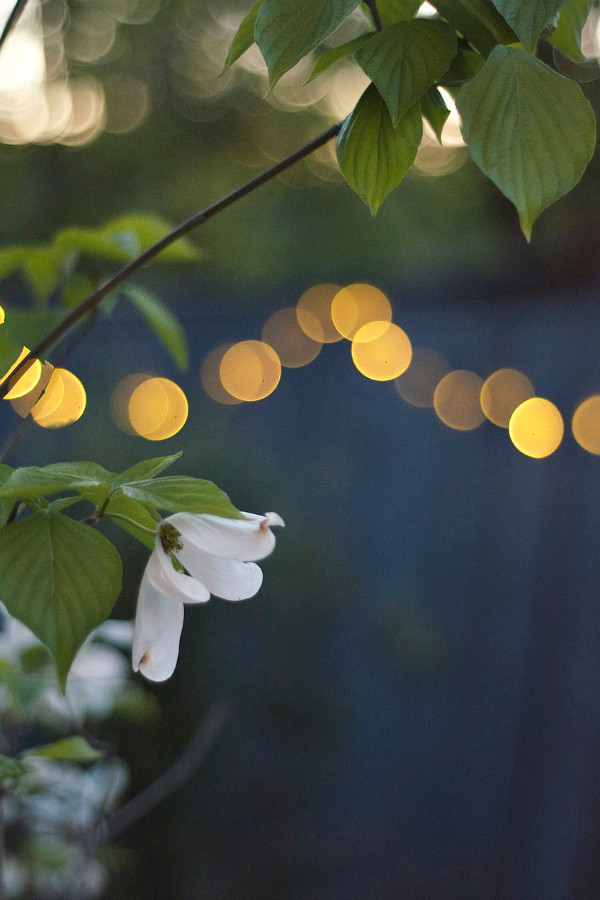 Backyard Novelty Lighting for Outdoor Entertaining