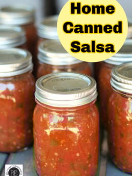 Home Canned Salsa