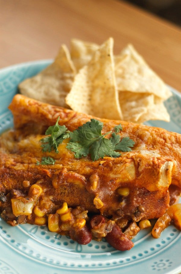 Vegetarian Enchiladas | Reluctant Entertainer.com