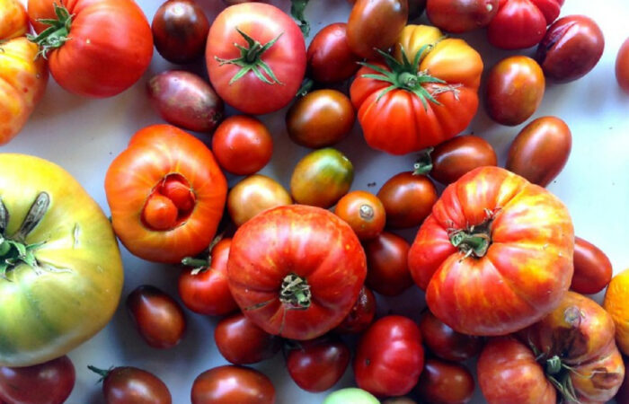 heirloom tomatoes
