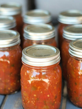 Home Canned Salsa in pints