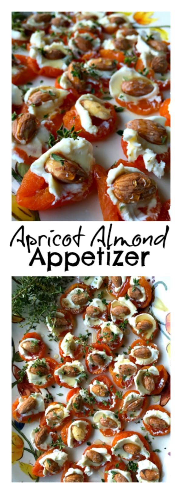 Apricot Almond Appetizer