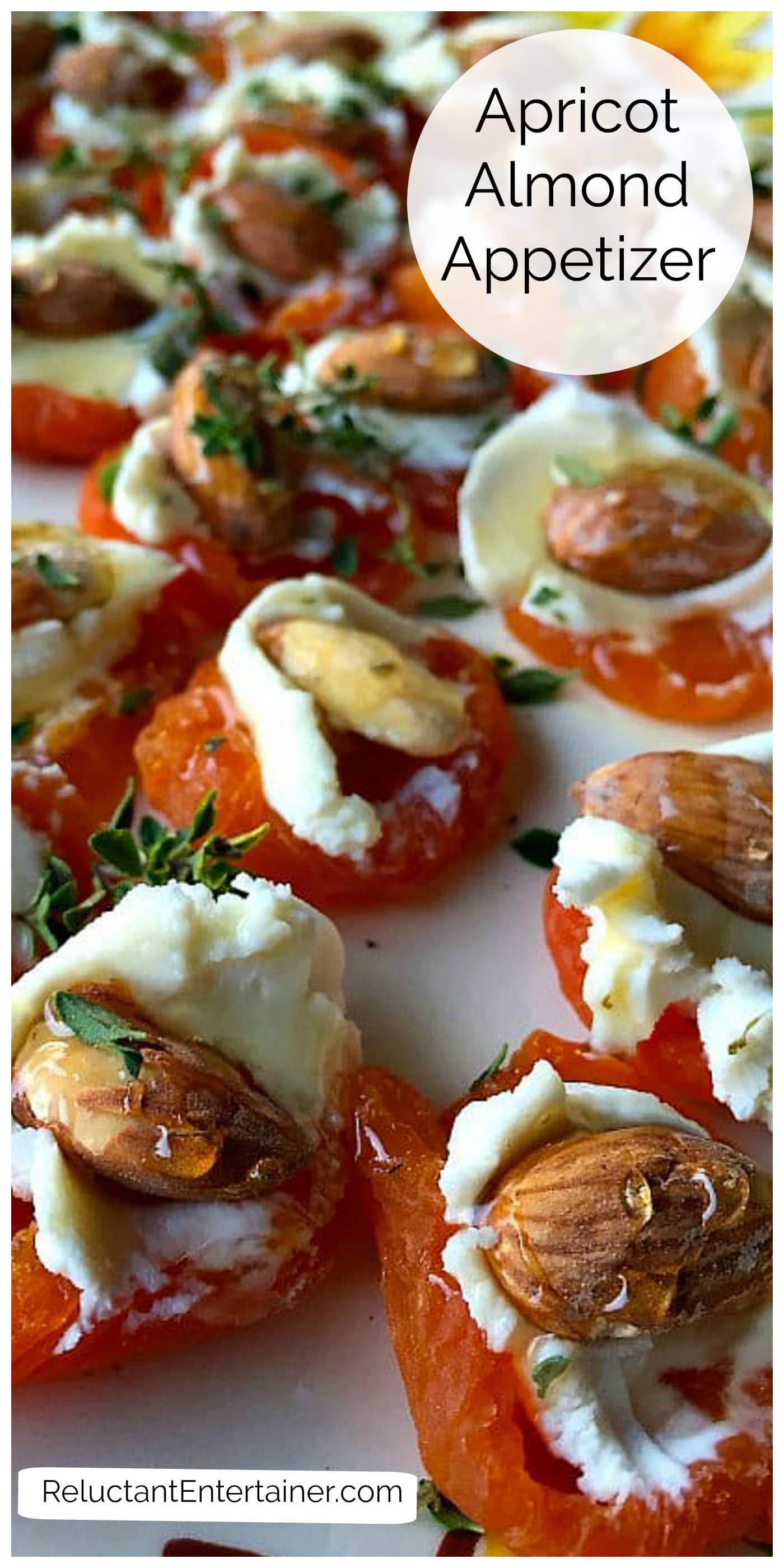 Easy Apricot Almond Appetizer - Reluctant Entertainer