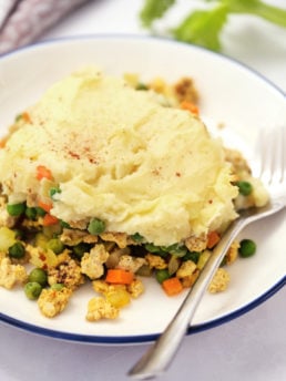 Curried Shepherd's Pie on a plate