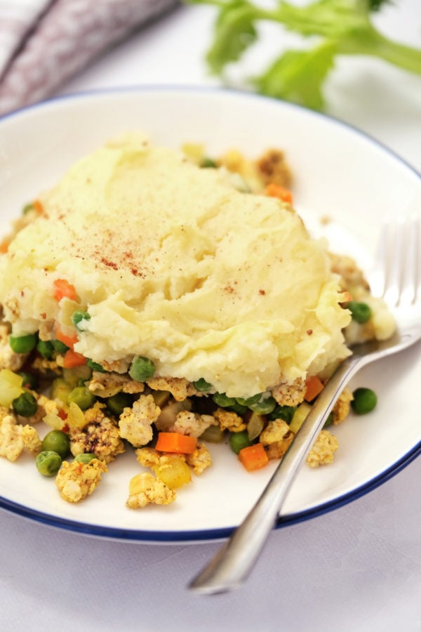 Curried Shepherd's Pie on a plate