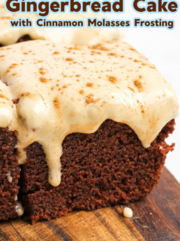 Gingerbread Cake with Cinnamon Molasses Frosting