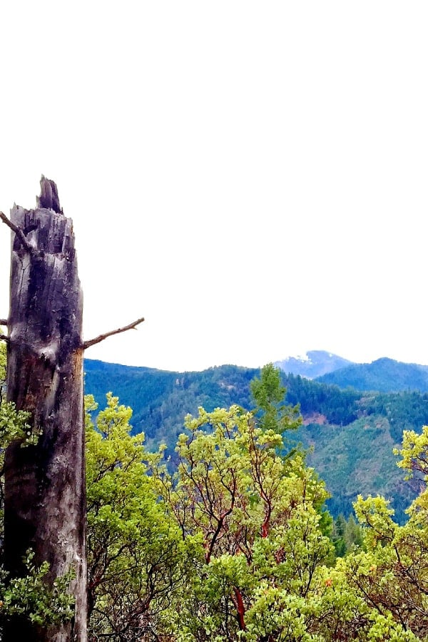 Stein Butte, hiking in southern Oregon