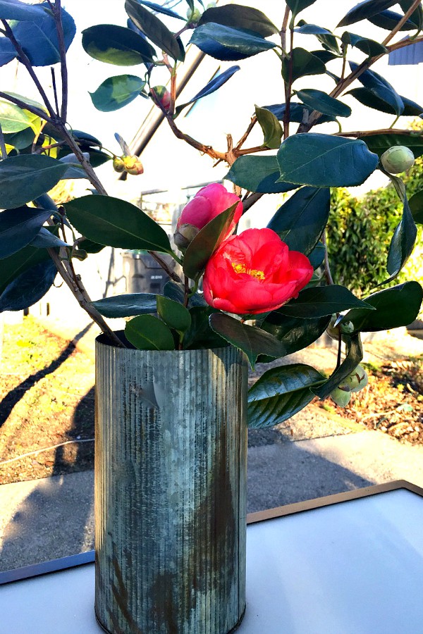 Camellia Table Setting