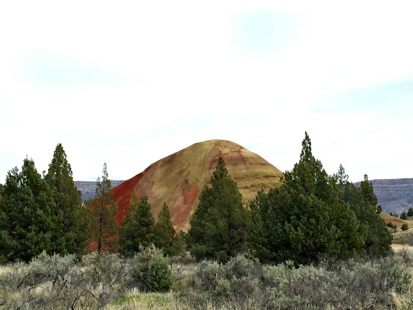 Painted Hills #Oregon