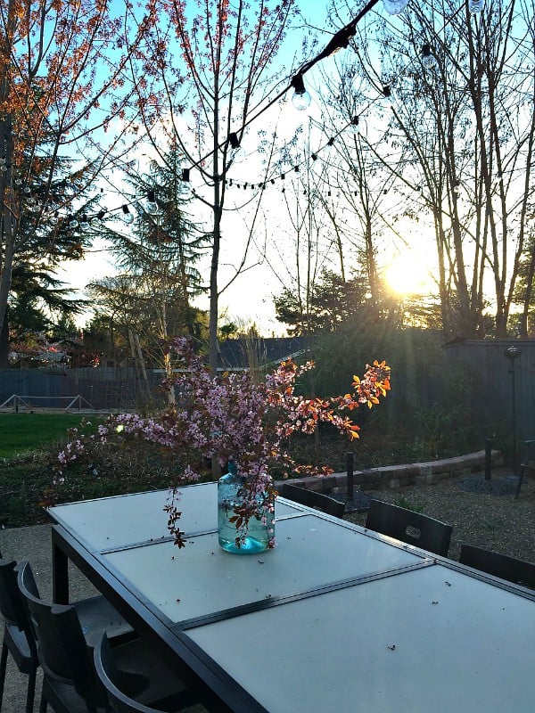 Set a Springy Blossom Table with Cucumber Lemonade Drink