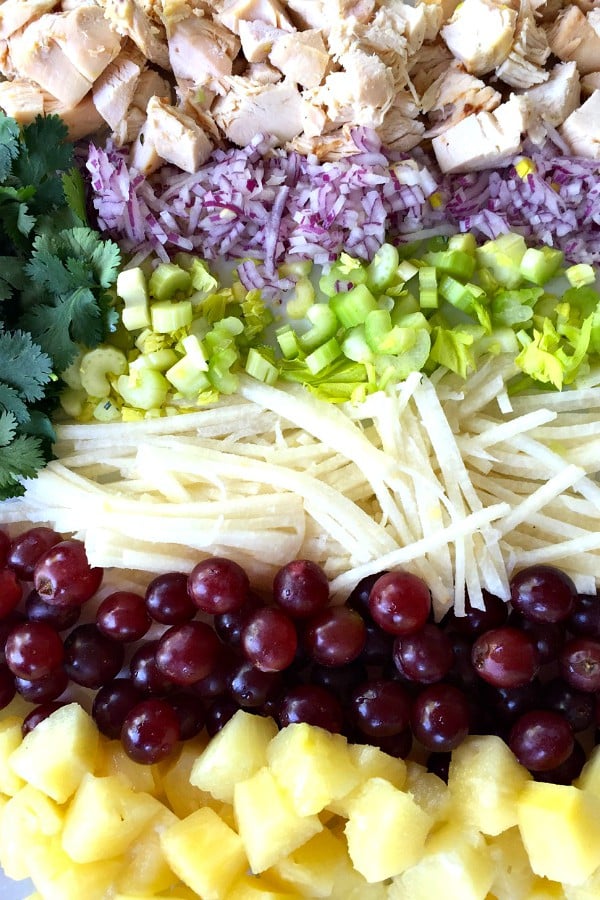 Curried Jicama Fruit Pasta Salad