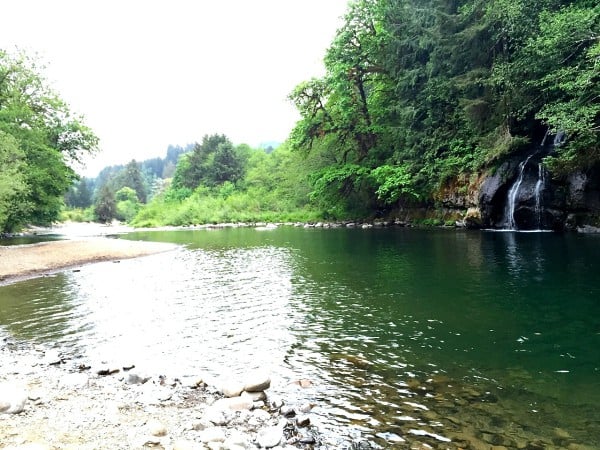 Favorite Camping Spot in Oregon and Red, White, and Blue Apricot Appetizer