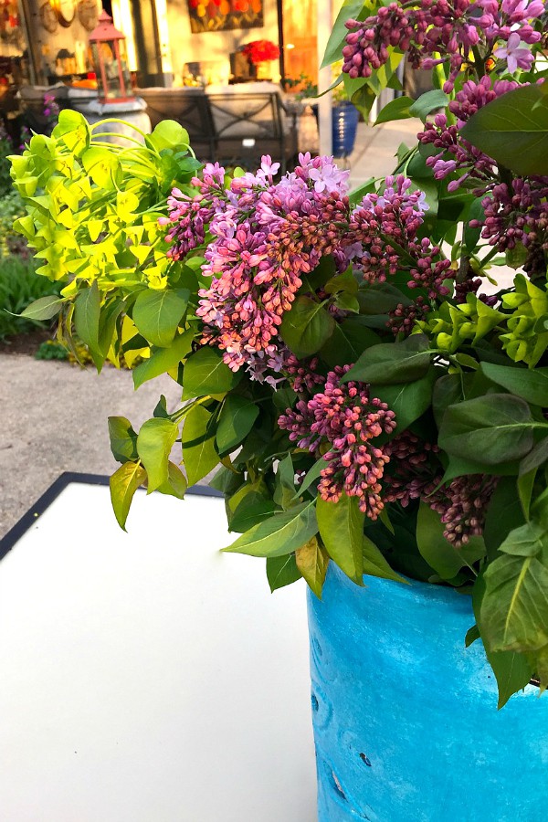 Summer Lilacs