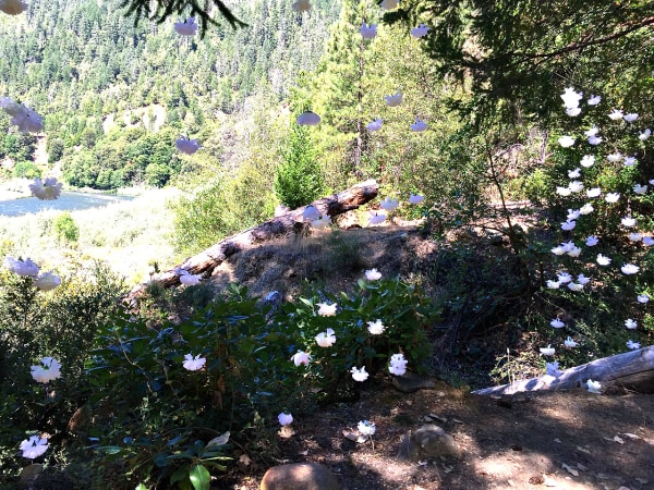 A River Wedding with Caprese Pita Cracker Bites