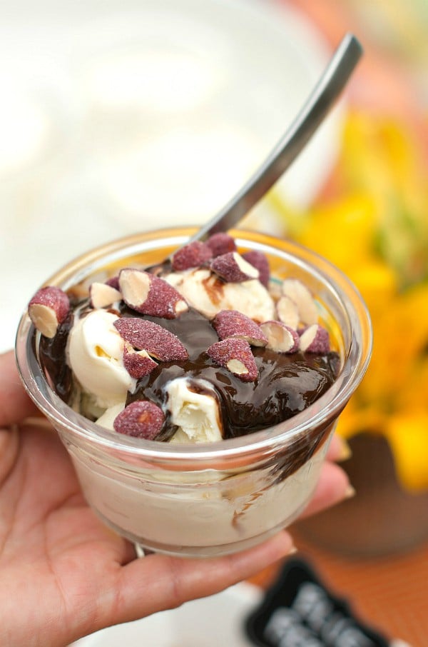 Ice Cream Sundae Bar with Frozen Coconut S'mores