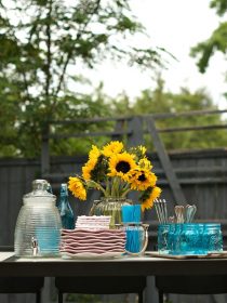 Outdoor Party Ideas and Tips for Bug-Free Entertaining! | ReluctantEntertainer.com