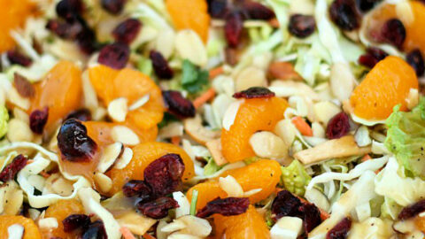 orange slaw dressing Vegetable Slaw with Orange, Honey & Mustard Dressing