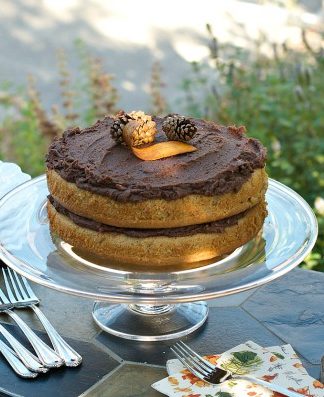 Peanut Butter Cake with Chocolate Frosting | ReluctantEntertainer.com