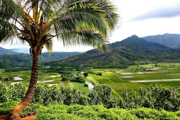 10 Reasons to Stay at The Villas at Po'ipu Kai, Kauai, Hawaii | ReluctantEntertainer.com