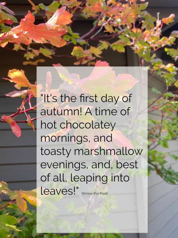 first day of autumn winnie the pooh quote