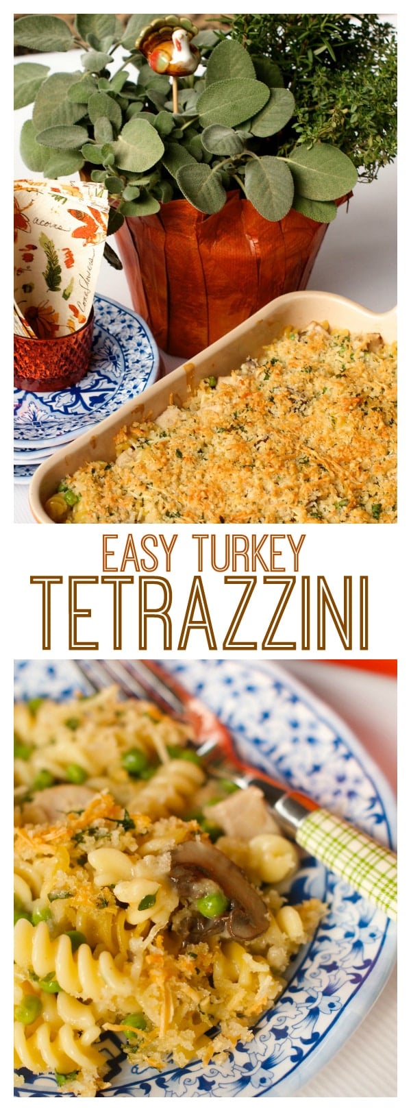 Easy Turkey Tetrazzini