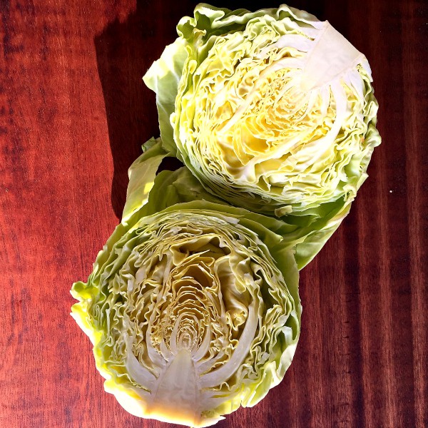 Cabbage