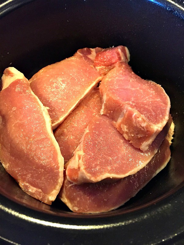 Crock Pot Pork Ragu