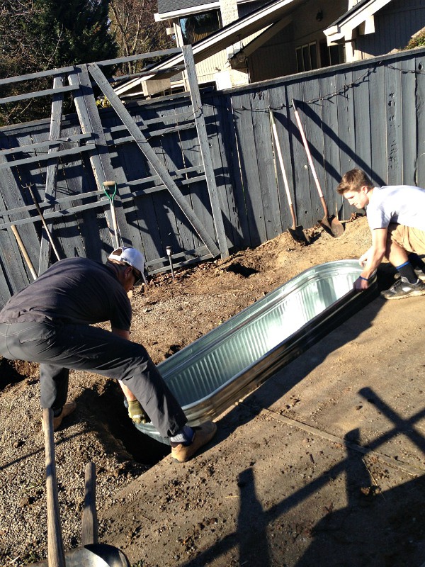 DIY Trough Pond