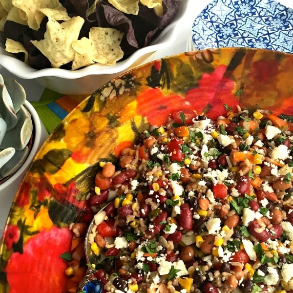 Mexican Bean and Rice Dip