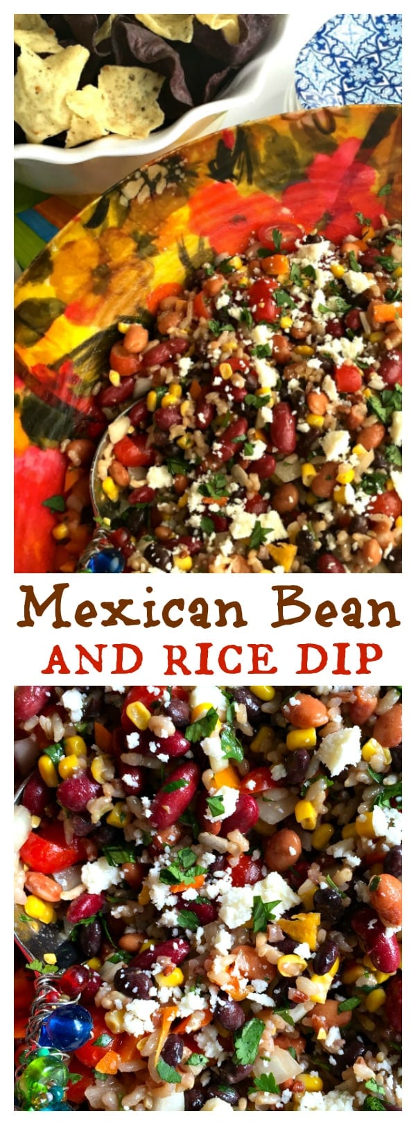 Mexican Bean and Rice Dip