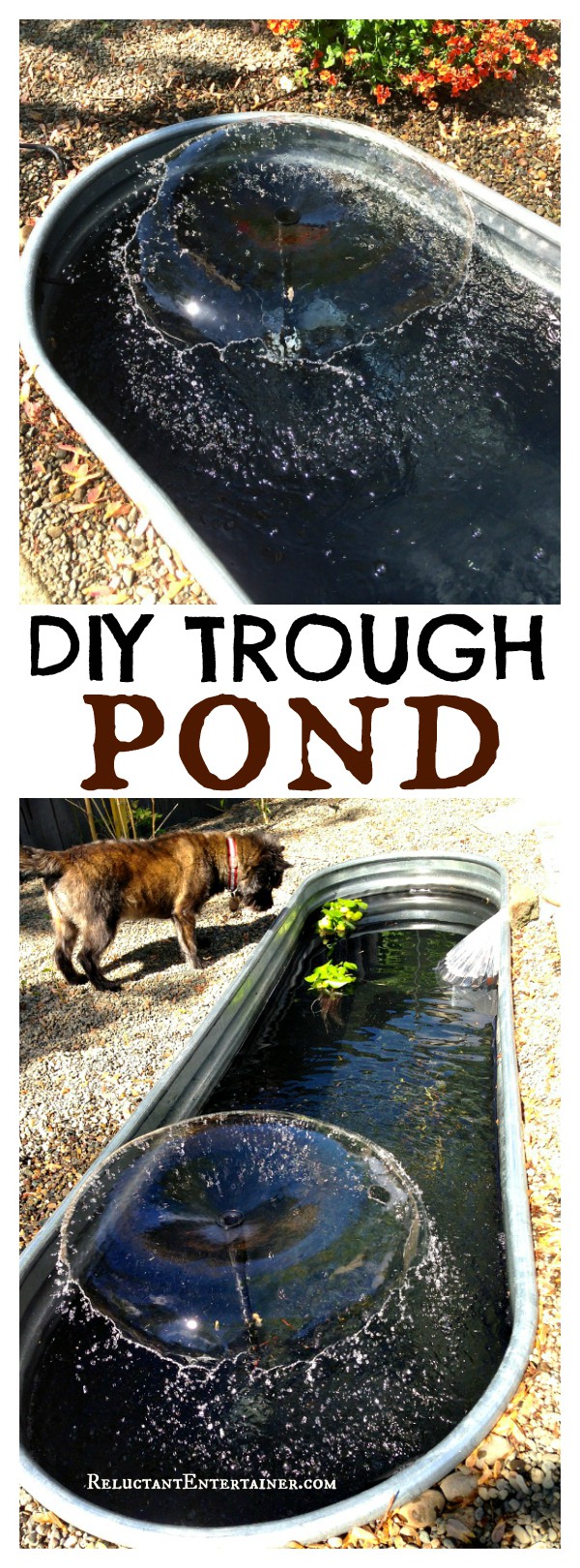 DIY Trough Pond at Reluctant Entertainer