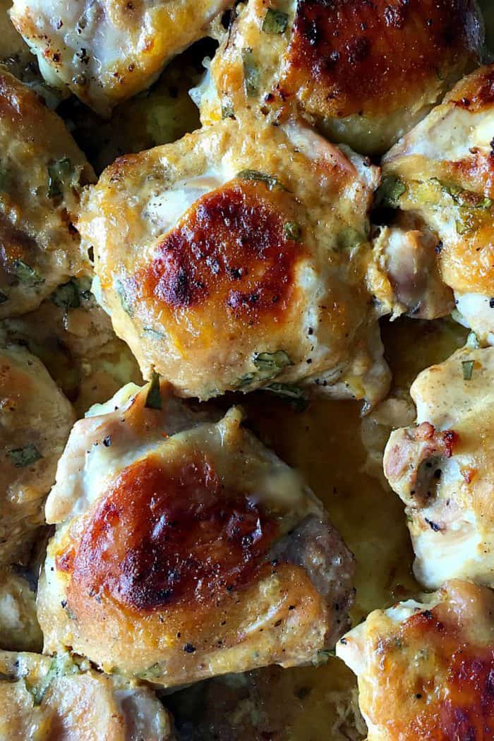 Apricot Greek Yogurt Chicken Thighs are a tasty dish made with apricot jam or marmalade, delicious spices, Greek yogurt #chickenthighs #apricotchicken #easychicken