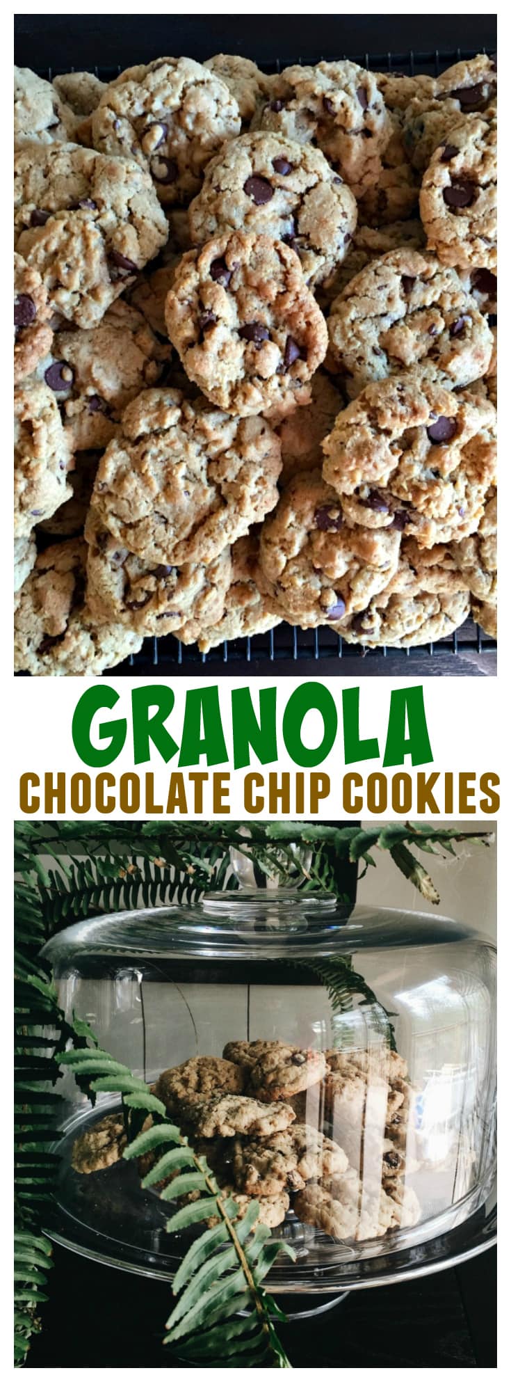 Granola Chocolate Chip Cookies at ReluctantEntertainer.com
