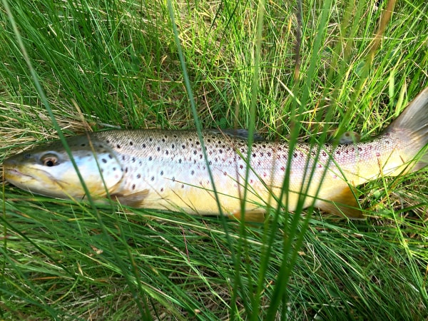 central oregon