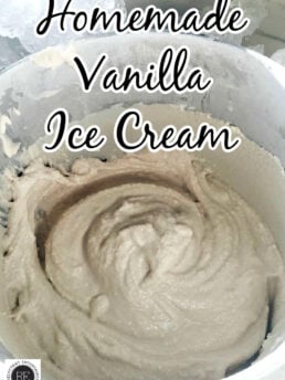 Homemade Vanilla Ice Cream