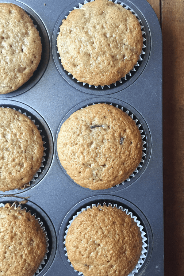 Zucchini Muffins