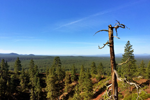 Hiking with siggi's yogurt breakfast