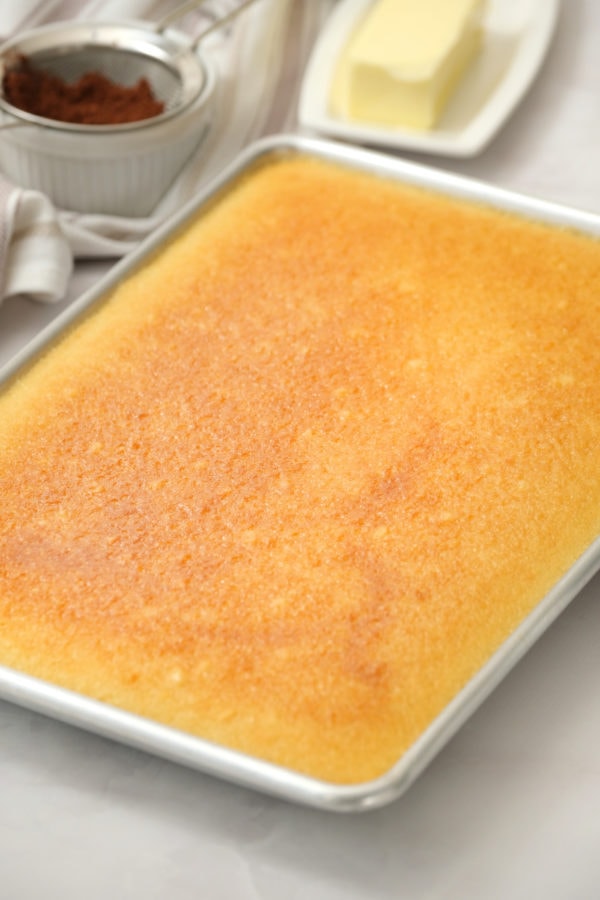 Vanilla Texas Sheet Cake with no frosting
