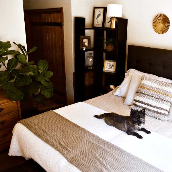 Mountain Home DIY Bedroom