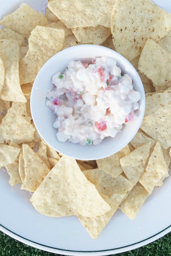 Creamy Cottage Cheese Salsa Dip at ReluctantEntertainer.com