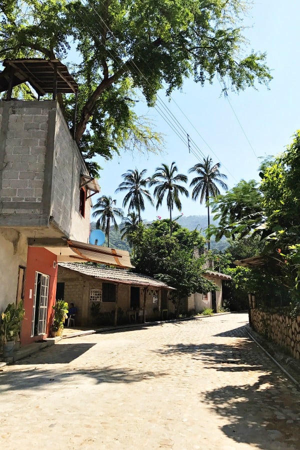 What to do in Puerto Vallarta, Mexico