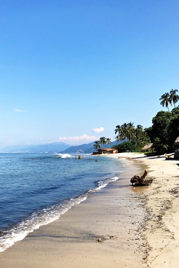 What to do in Puerto Vallarta, Mexico