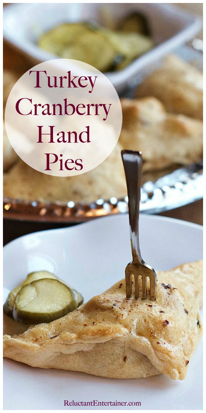 Turkey Cranberry Hand Pies Recipe