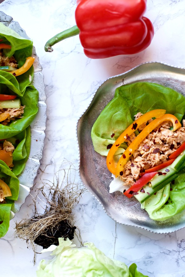 Butter Leaf Lettuce Spicy Tuna Recipe